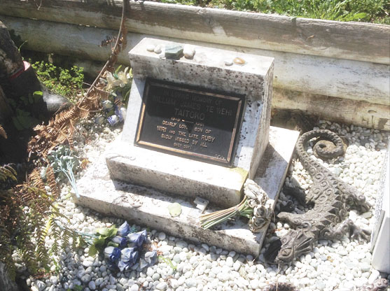 Taupiri Mountain Waikato Billy T James Grave Picture